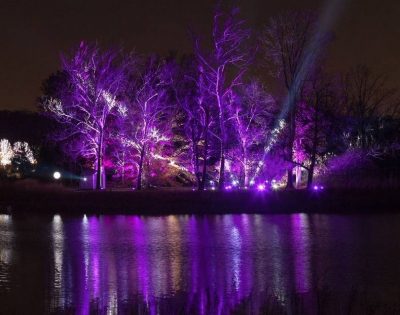 Illumination: Tree Lights at the Morton Arboretum
