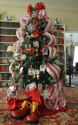 Gallery 3 - “Community Trees” Display Opens at McCormick House