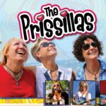 Downers Grove Summer Concerts: The PriSSillas