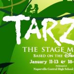 Tarzan The Stage Musical