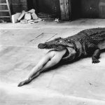 Gallery 1 - Helmut Newton: The Bad and the Beautiful: An After Hours Film Society Virtual Experience