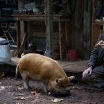 Gallery 1 - After Hours Film Society Presents Pig