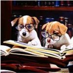 Pets Caught Reading Photo Contest
