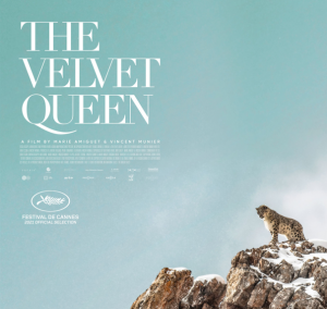 After Hours Film Society Presents The Velvet Queen...