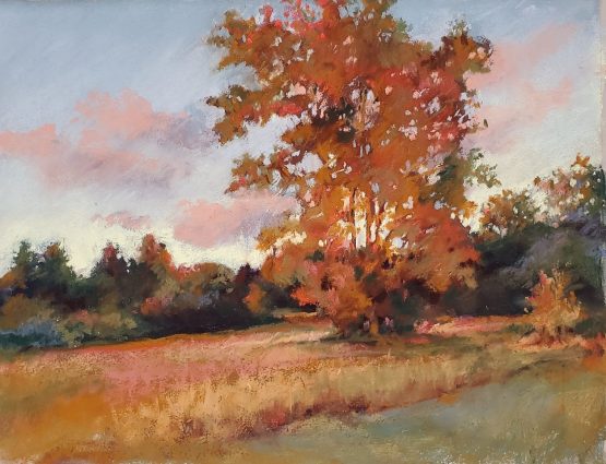 Gallery 1 - Partners in Pastels at Wheaton Public Library