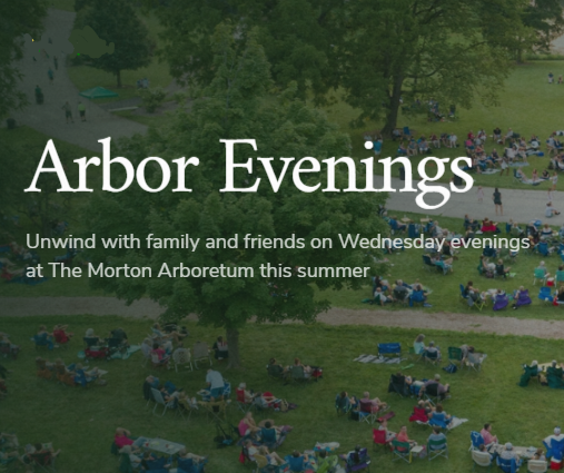 Gallery 1 - Arbor Evenings: The Beaux