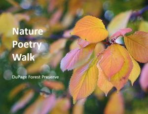 Nature Poetry Walk