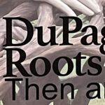DuPage Roots Book Signing and DCHS Annual Meeting