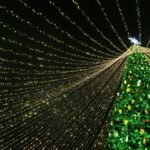 Christmas Light Show at Sonny Acres Farm